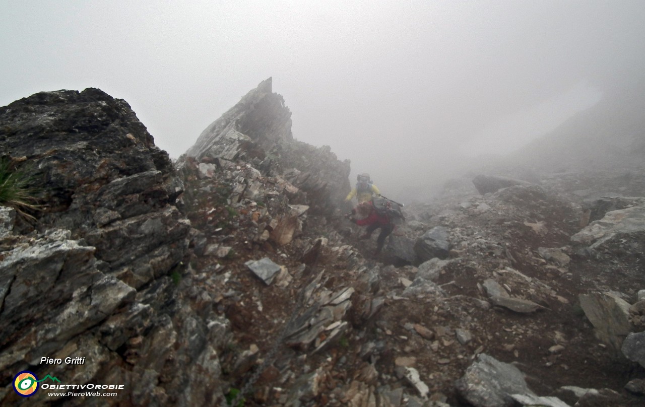 116 La nebbia ci fa compagnia....JPG